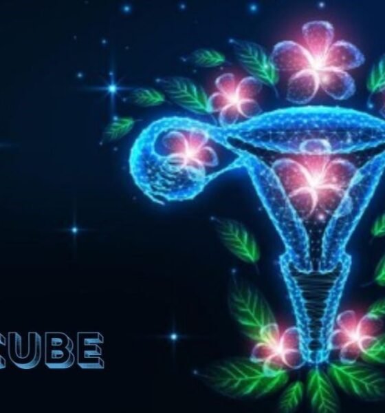 Gynecube