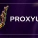 Proxyuim