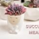 Succulent