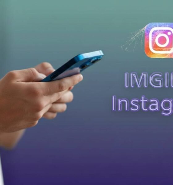 Imginn Instagram