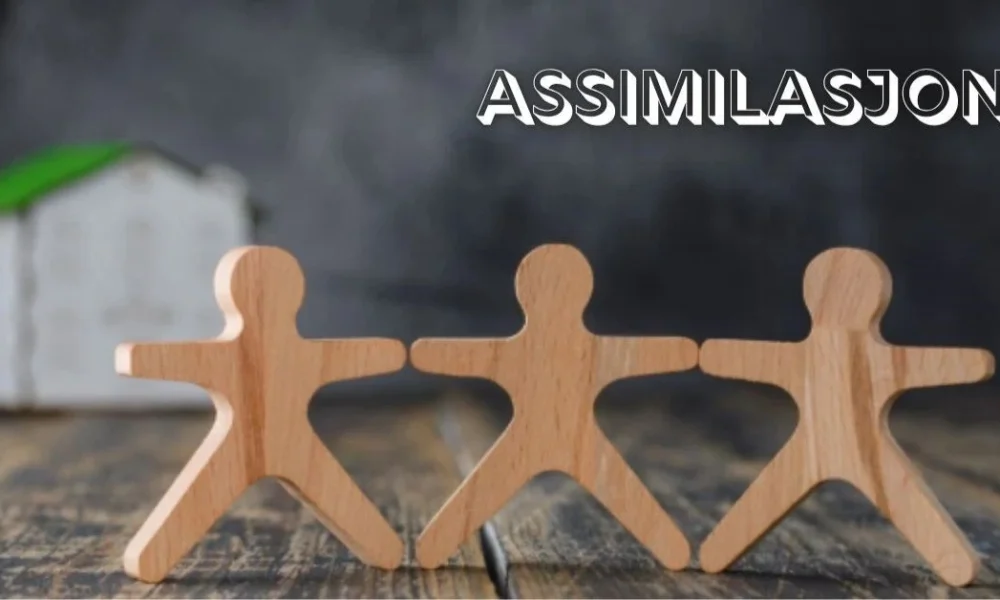 Assimilasjon