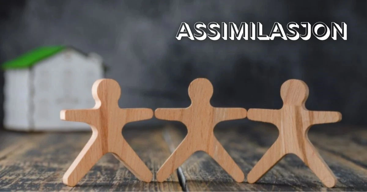 Assimilasjon