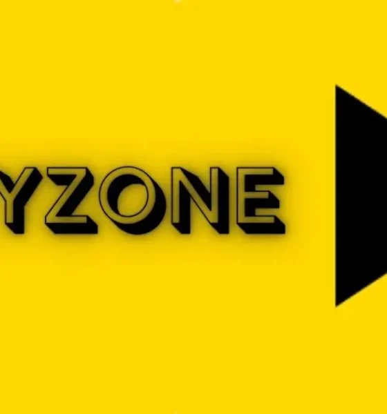 Tinyzone