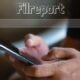 filreportfilreport