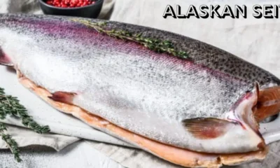 Alaskan Seiti