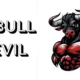 Drbulldevil