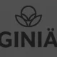 Giniä