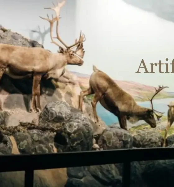 Artificial Zoo