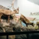 Artificial Zoo